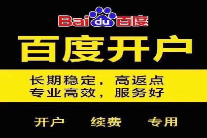 百度竞价公司广告投放技巧及效果展示